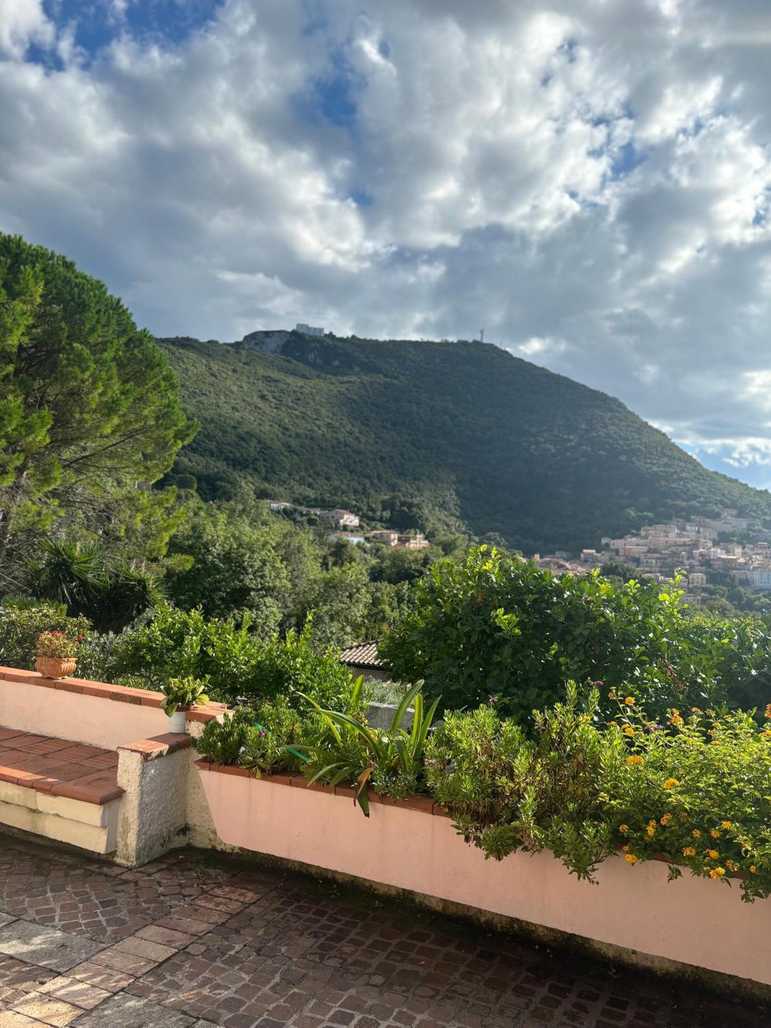 Casa Vacanze Primavera Maratea Eksteriør billede